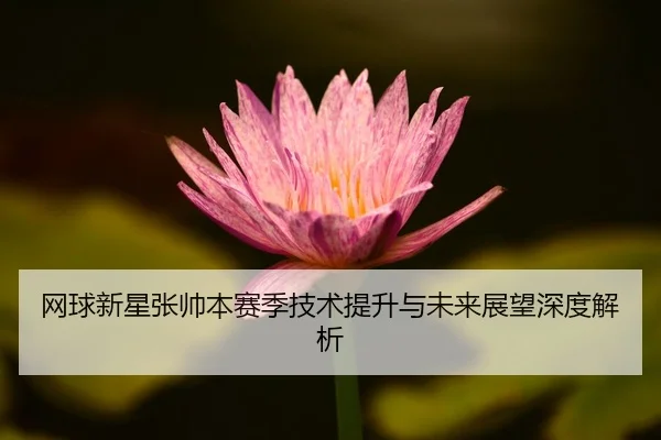 网球新星张帅本赛季技术提升与未来展望深度解析